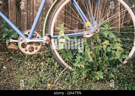 Vélo d'époque en face de l'ancienne maison rustique, couvrant avec les plantes et l'herbe. Banque D'Images