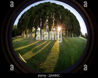 Abbey Fields est un parc public adjacent à la Tamise à Abingdon, dans l'Oxfordshire.Il tire son nom de l'abbaye médiévale - longtemps disparu - qui a utilisé Banque D'Images