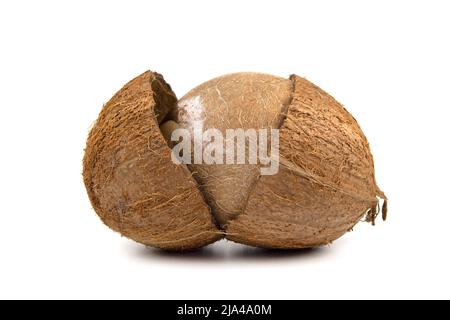 Couper le fruit de la noix de coco avec la graine intérieure entière isolée sur un fond blanc. Banque D'Images