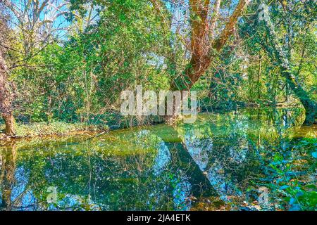 Le petit étang de Giardini Pubblici Indro Montanelli dans le centre de Milan, Italie Banque D'Images