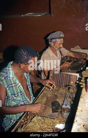 Des hommes cubains roulent des cigares cubains dans une fabrique de cigares à Pinar del Rio, Cuba, Caraïbes Banque D'Images