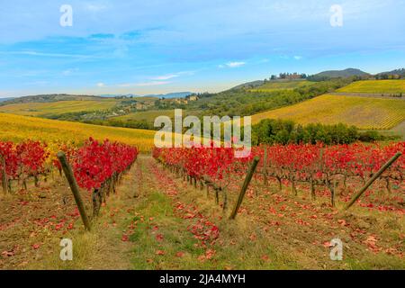 Paysage d'automne du château de brolio avec vignobles Chianti en Toscane. Radda, ville du Chianti, dans la campagne italienne. Rouge d'automne toscan Banque D'Images