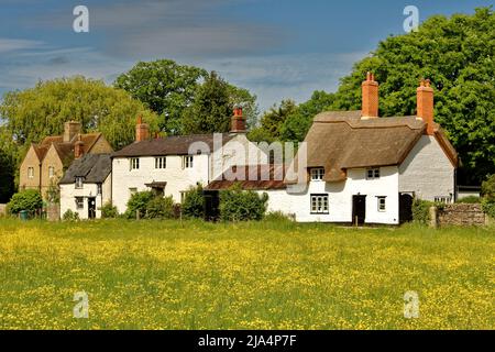 PORT MEADOW OXFORD LE TOIT DE CHAUME D'UNE MAISON DANS LE VILLAGE DE BINSEY AU PRINTEMPS Banque D'Images
