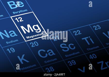 Magnésium sur la table périodique des éléments. Métal alcalin de terre avec symbole mg et numéro atomique 12. 11th élément le plus abondant dans le corps humain. Banque D'Images