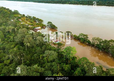 Vue aérienne de l'Amazone. Forêt tropicale verte au Pérou, en Amérique du Sud. Vue plongeante. Banque D'Images