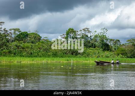 Amazon Rainforest Riverbank. En descendant la rivière Yanayacu dans la jungle amazonienne, près d'Iquitos, Pérou. Amérique du Sud. Banque D'Images