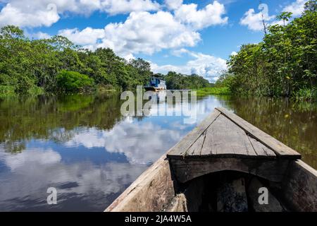 Amazon Rainforest Riverbank. En descendant la rivière Yanayacu dans la jungle amazonienne, près d'Iquitos, Pérou. Amérique du Sud. Banque D'Images