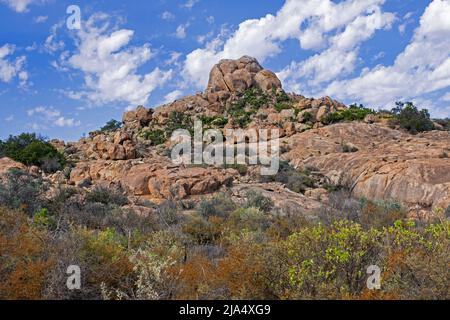 Paysage semi-désertique dans le parc national de Namaqua, Namaqualand, Cap Nord, Afrique du Sud Banque D'Images