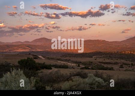 Coucher de soleil sur un paysage semi-désertique dans le parc national de Namaqua, Namaqualand, province du Cap Nord, Afrique du Sud Banque D'Images
