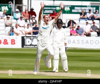 Chelmsford, Royaume-Uni. 27th mai 2022. CHELMSFORD ANGLETERRE - MAI 27 : Kyle Jamieson de Nouvelle-Zélande célèbre LBW sur Nick Gubbind lors d'un match amical de quatre jours (jour 2 de 4) entre le CountyXI de première classe contre la Nouvelle-Zélande au sol du comté de Cloud, Chelmsford le 27th mai, 2022 crédit: Action Foto Sport/Alay Live News Banque D'Images