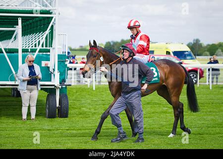 Jockey Tom Marquand sur la Trinidad à York races. Banque D'Images