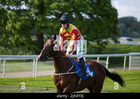 Jockey Jason Hart sur Mockey Mongoose aux courses de York. Banque D'Images