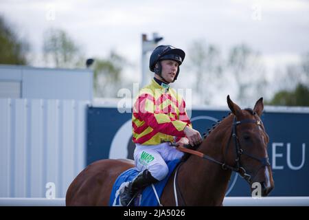 Jockey Jason Hart sur Mockey Mongoose aux courses de York. Banque D'Images