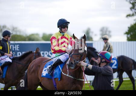 Jockey Jason Hart sur Mockey Mongoose aux courses de York. Banque D'Images