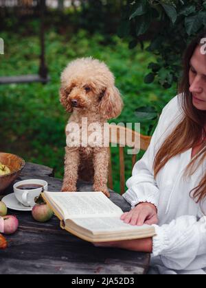 femme de race blanche d'âge moyen en robe blanche prenant le café du matin dans le verger de pomme assis à une table en bois avec son animal de compagnie Banque D'Images