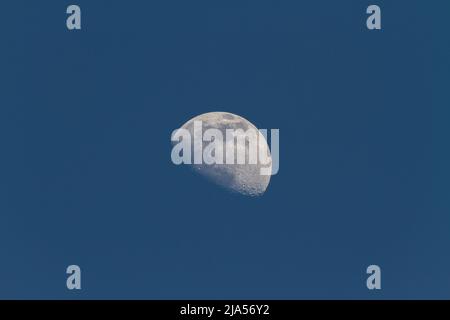 Crescent Moon visible plus de la moitié pendant l'heure bleue au printemps Banque D'Images