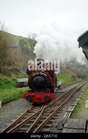 'Talyllyn' à Brynglas. Banque D'Images