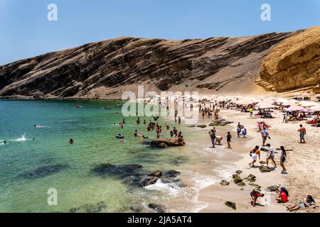 Plage de la Mina, Réserve nationale de Paracas, province de l'ICA, Pérou. Banque D'Images