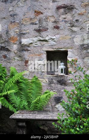 Lampe blanche posée sur un mur en pierre grise. L'image verticale, prise au cours d'un jour ensoleillé de mai, a un premier plan de la végétation hors foyer. Mise au point en arrière-plan Banque D'Images