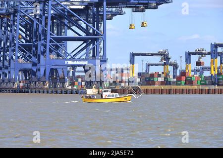 Harwich Harbour Ferry en échange de son commerce à Harwich Haven. Banque D'Images