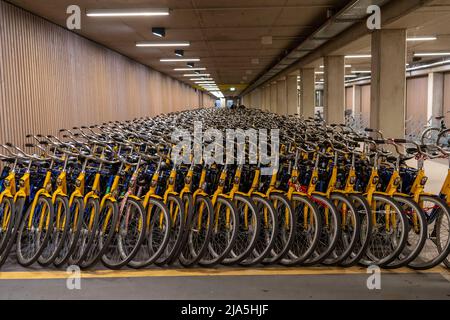 Vélos à la station de location OV-Fiets, à la gare centrale d'Utrecht, des centaines de vélos en location à utiliser, les chemins de fer néerlandais NS offrent, pour les clients, bas Banque D'Images