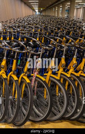 Vélos à la station de location OV-Fiets, à la gare centrale d'Utrecht, des centaines de vélos en location à utiliser, les chemins de fer néerlandais NS offrent, pour les clients, bas Banque D'Images