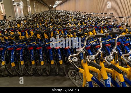 Vélos à la station de location OV-Fiets, à la gare centrale d'Utrecht, des centaines de vélos en location à utiliser, les chemins de fer néerlandais NS offrent, pour les clients, bas Banque D'Images