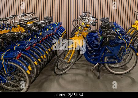 Vélos à la station de location OV-Fiets, à la gare centrale d'Utrecht, des centaines de vélos en location à utiliser, les chemins de fer néerlandais NS offrent, pour les clients, bas Banque D'Images