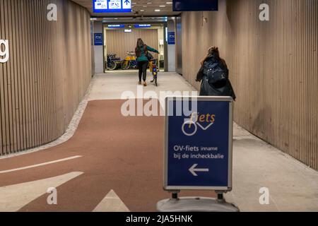 Vélos à la station de location OV-Fiets, à la gare centrale d'Utrecht, des centaines de vélos en location à utiliser, les chemins de fer néerlandais NS offrent, pour les clients, bas Banque D'Images