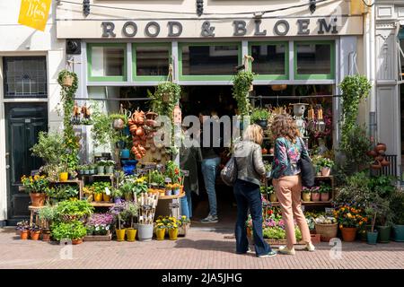 Utrecht, pays-Bas, Vieille ville, Oudegracht, Flower shop Banque D'Images