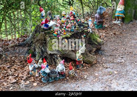 Collection de gnomes de jardin, en face d'une maison privée, près d'Arnhem, pays-Bas, Banque D'Images