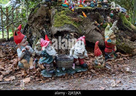 Collection de gnomes de jardin, en face d'une maison privée, près d'Arnhem, pays-Bas, Banque D'Images