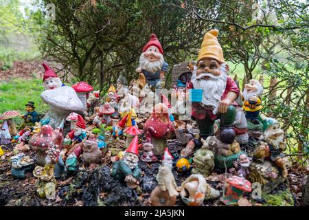 Collection de gnomes de jardin, en face d'une maison privée, près d'Arnhem, pays-Bas, Banque D'Images