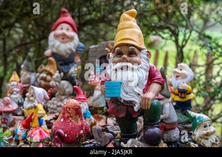 Collection de gnomes de jardin, en face d'une maison privée, près d'Arnhem, pays-Bas, Banque D'Images