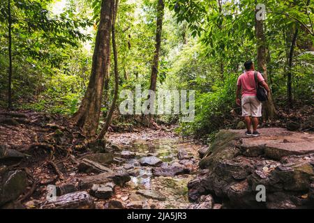 Un touriste prend dans l'environnement sur un sentier de randonnée dans la zone archéologique de Palenque, Chiapas, Mexique Banque D'Images