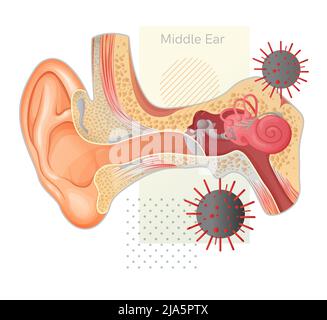 Covid impact sur l'oreille humaine - Illustration en stock comme fichier EPS 10 Illustration de Vecteur