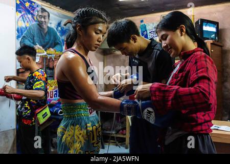 Nitida Leksanun a ses gants serrés avant le combat au stade de boxe international de Thapae. Il y a des années, voir des femmes dans un ring Fighting (Muay Thai) en Thaïlande était presque inentendu de, à moins qu'il ne soit dans un combat cérémonial dans le temple local pendant la saison de fête. De nos jours, les choses changent et de plus en plus de femmes rejoignent le sport. La ville de Chiang Mai est l'épicentre de ce changement avec le soutien d'un promoteur local qui voit le sport comme un moyen de promouvoir l'égalité, et l'intérêt croissant dans le sport par les étrangers qui affluent dans la ville. Dans certains gymnases thaïlandais de Muay, les femmes ont déjà ove Banque D'Images