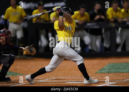 27 mai 2022 : l'outfielder de South Miss Reece Ewing (38) lors d'un match de base-ball collégial, entre Southern Miss et FAU aux championnats de base-ball de la Conférence des États-Unis au parc Pete Taylor, Hattiesburg, Mississippi. Bobby McDuffie/CSM Banque D'Images