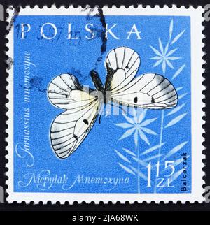 POLOGNE - VERS 1961: Un timbre imprimé en Pologne montre le papillon noir Apollo, opaleté Apollo, Parnassius Mnemosyne, vers 1961 Banque D'Images