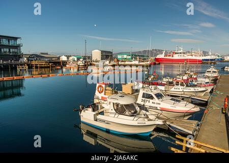 Plusieurs petits bateaux à moteur sont amarrés ici à une jetée dans le port de Reykjavík, en Islande, avec de plus grands navires de pêche et des montagnes à l'horizon derrière eux. Banque D'Images