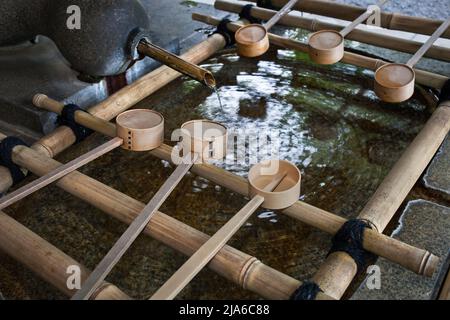 Bassin purifiant de Chozubachi au sanctuaire Togo à Harajuku, Tokyo, Japon Banque D'Images