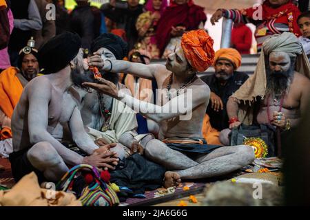 Un sadhu applique des cendres à un autre Saddhu lors d'un rassemblement d'hommes saints. Tous les douze ans, des millions de fidèles hindous commencent un pèlerinage massif au plus sacré des festivals indiens: Le Kumpha Mela, qui a lieu à Prayagraj, un lieu considéré particulièrement propice parce qu'il est à la confluence du Gange, Yamuna et le mythique Saraswati. On estime qu'en 2019, 120 millions de personnes ont assisté à l'enclos sacré pendant un mois et demi. Ces chiffres, qui correspondent à la population totale du Japon, et 40 fois le nombre de pèlerins qui visitent la Mecque dans l'ann Banque D'Images