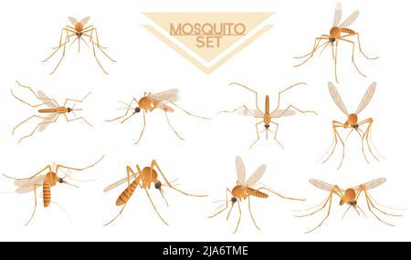 Collection de moustique Brown Bloodsucking insecte dessin animé illustration vectorielle isolée sur fond blanc Illustration de Vecteur