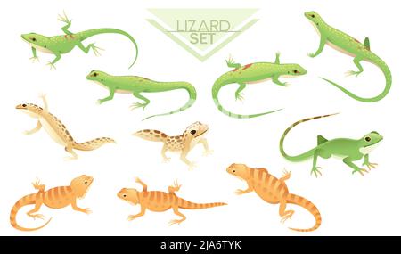 Collection de dessin animé vert et brun petit lézard dessin d'animaux illustration vectorielle Illustration de Vecteur