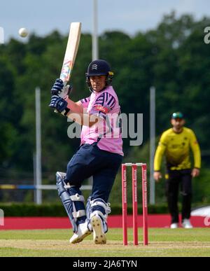 Joe Cracknell, de Middlesex, joue dans un match de T20 au club de cricket de Radlett le 26th mai 2022 Banque D'Images