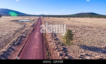 Plaines désertiques avec route de sable rouge et arbre solitaire Banque D'Images
