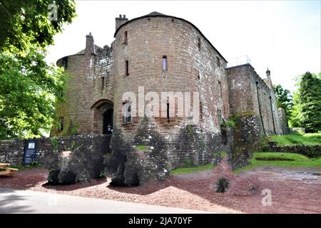 Forêt du château de St Briavel de Dean Gloucestershire Banque D'Images