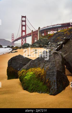 Golden Gate Bridge depuis une plage de sable avec des rochers couverts de mousse verte Banque D'Images
