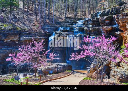 Les cerisiers bordent un chemin pavé qui mène à d'incroyables cascades au début du printemps Banque D'Images