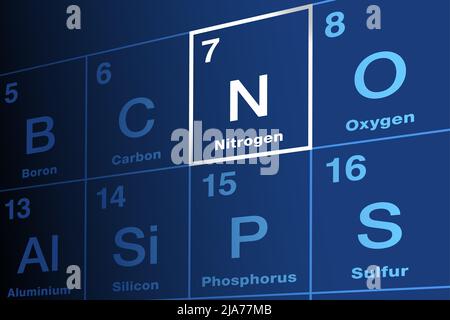 Azote sur le tableau périodique des éléments. Élément chimique avec le symbole N et le numéro atomique 7. Se produit dans tous les organismes. Banque D'Images